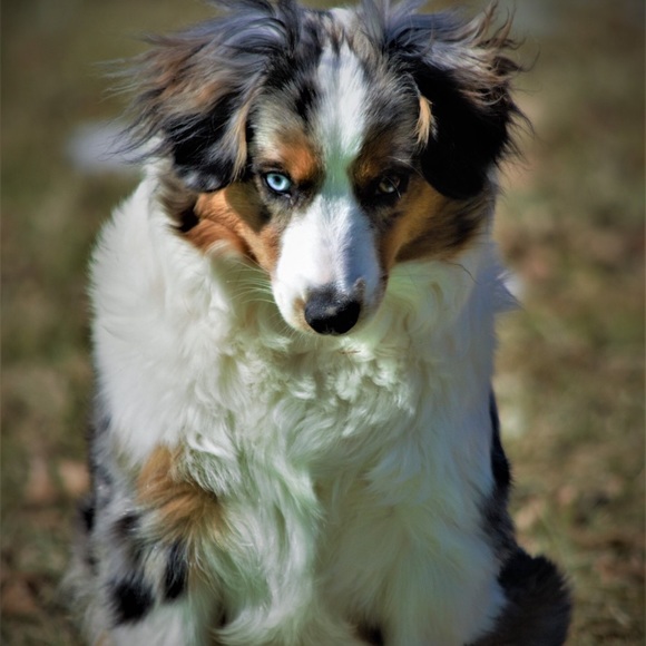 Jessica - Picture 8 of 8